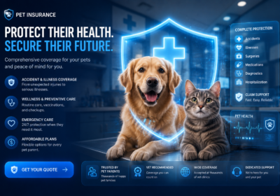 Pet Insurance in 2026: Is It Worth Buying Coverage for Your Dog or Cat?