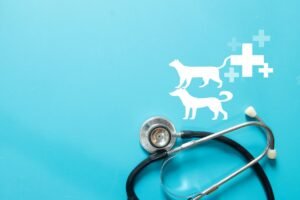 Dogs and cats at a veterinary clinic with a vet and pet insurance coverage